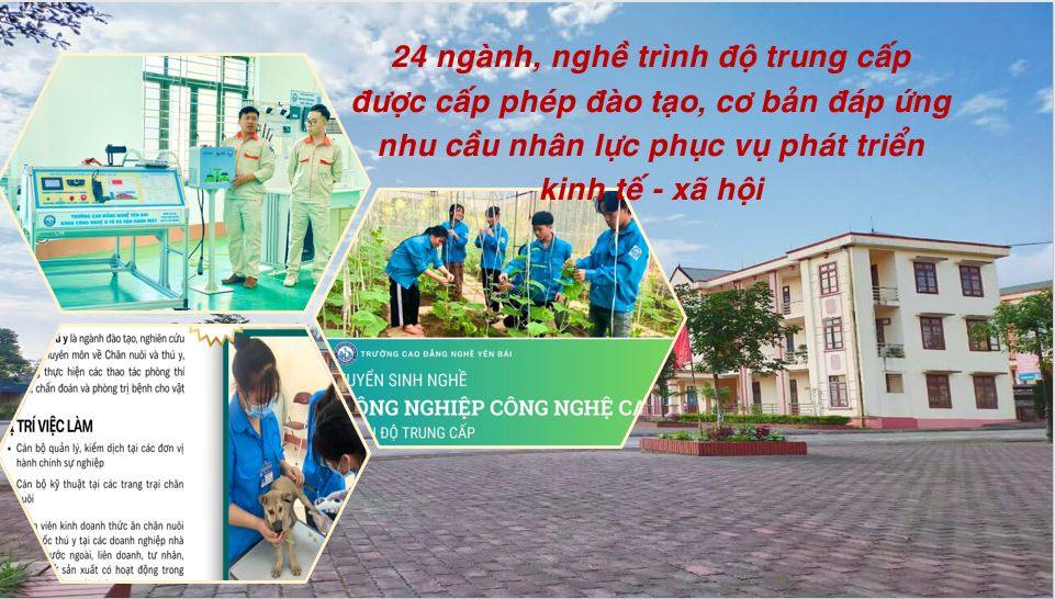 он верит статье